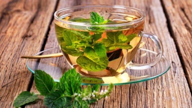What health advantages does green tea provide us?